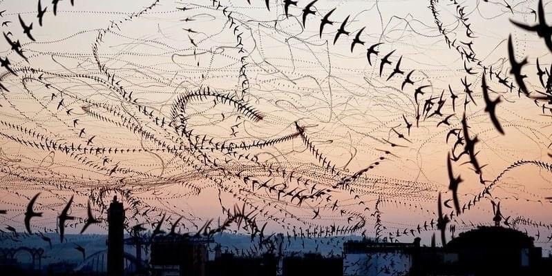 and the hammer of time smashes the body like glass in a paper&nbsp;bag.